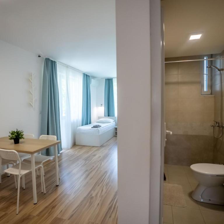 Smeštaj Milutinn, centar Sokobanje, iza Miloševog konaka - Studio sa Terasom - 12