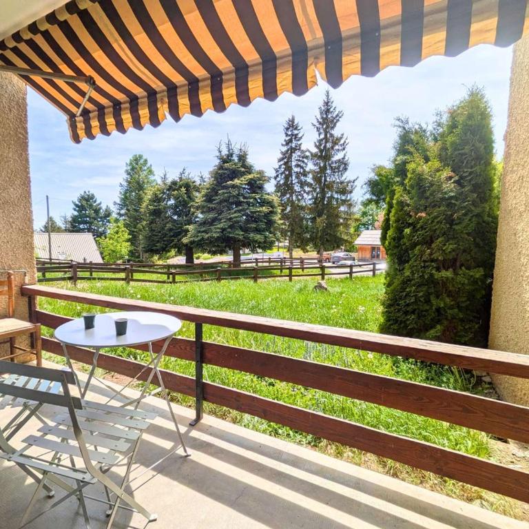 Charmant T2 - 6 pers - Chaillol 1600 - Balcon S/O - Parking - Animaux admis - Aire de jeux - FR-1-393-29 - Apartment (6 Adults) - 10