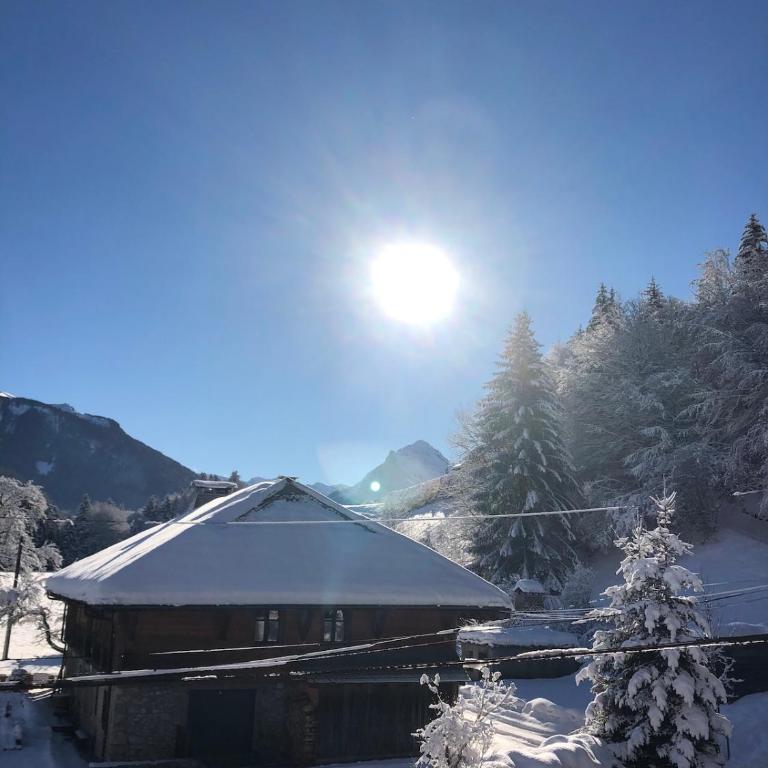 La Grange à Tennesse Chalet savoyard Montriond - Appartement - 36