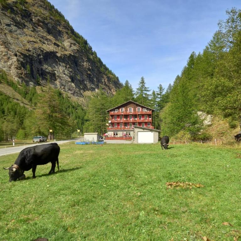 Pension Waldegg Zermeiggern - Doppelzimmer mit Bergblick - 15