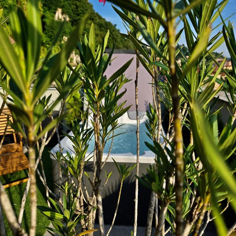 Felicita Cascata Terrace with Lake View - Appartamento con 1 Camera da Letto - 34