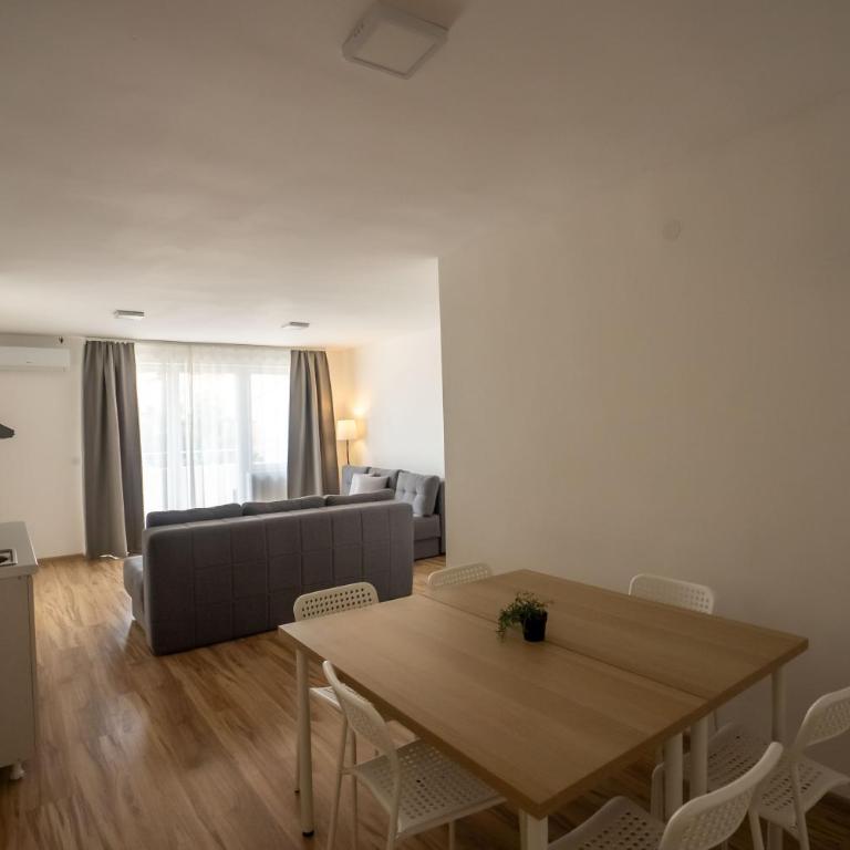 Smeštaj Milutinn, centar Sokobanje, iza Miloševog konaka - Apartman sa Terasom - 13
