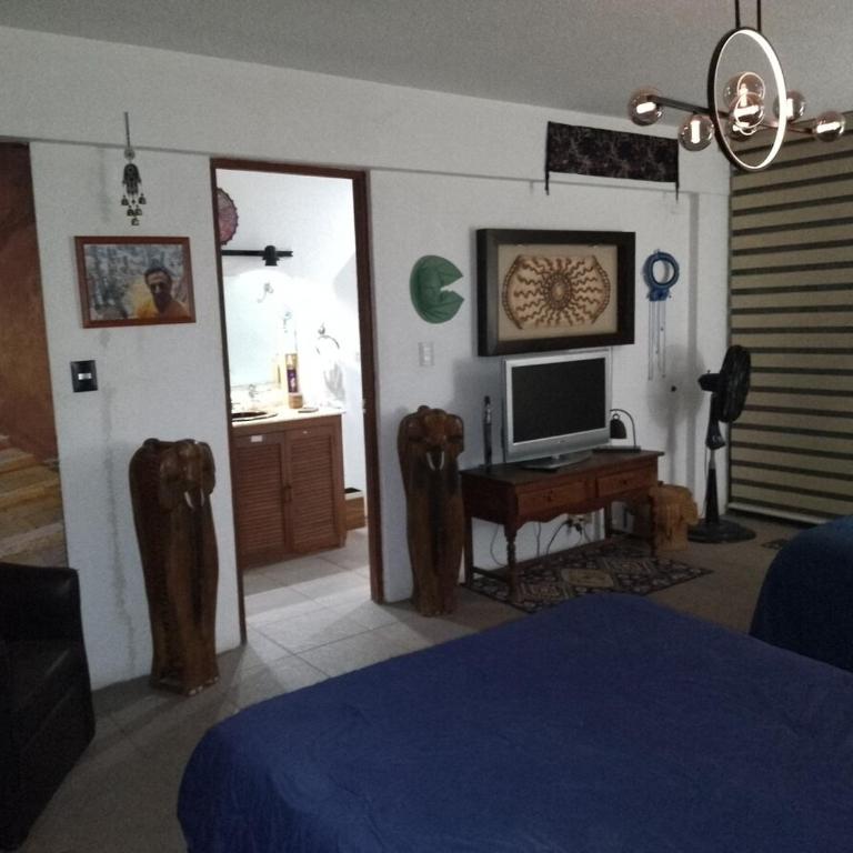 The Aviator's Shelter in Cuerna - Two-Bedroom House - 65