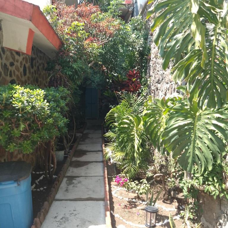 The Aviator's Shelter in Cuerna - Two-Bedroom House - 100