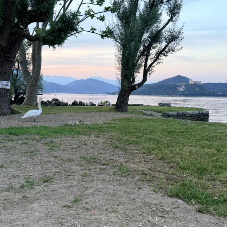 Casa di Zoja 2 - Appartamento con 1 Camera da Letto - 10