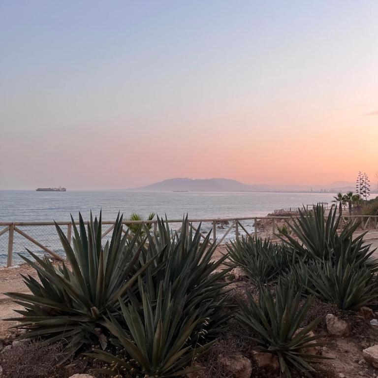 La Araña Beach Escape - Two-Bedroom House - 56