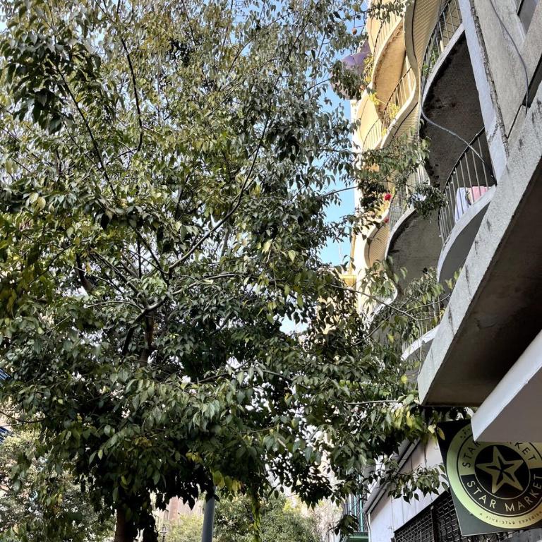 Barrio Lastarria premium 3D6p, Checkin autónomo - Apartamento de 3 dormitorios - 11
