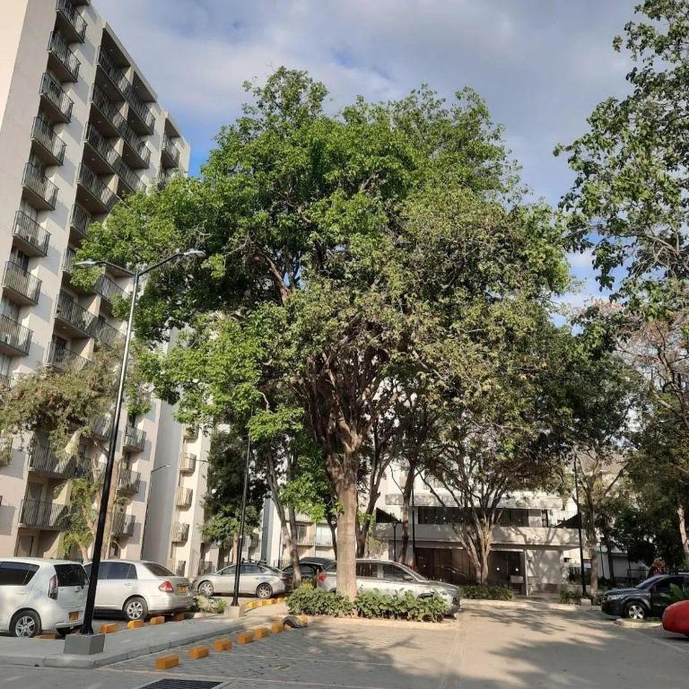 Mirador Bello Horizonte Suites - Apartamento de 1 dormitorio - 13