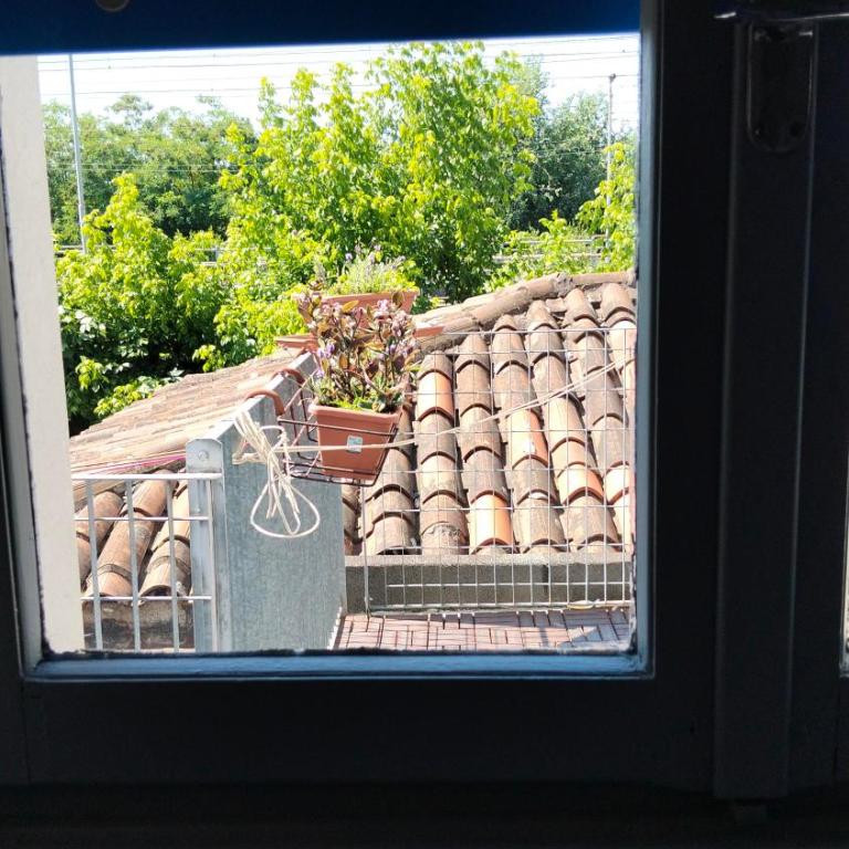 Mavipagi 2 - Camera King con Vista Giardino - 4