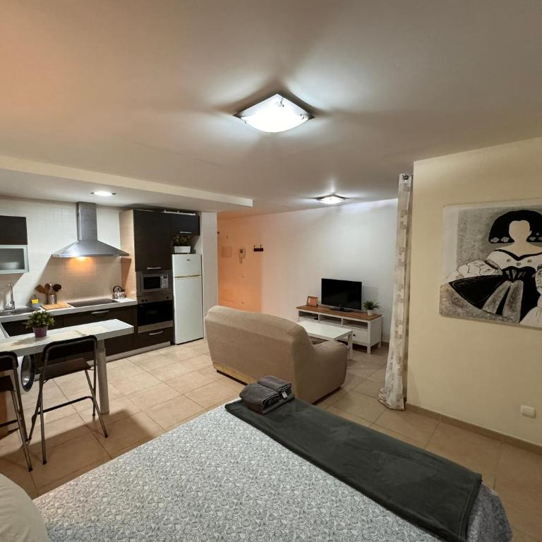 Alquilaencanarias El Palm Mar - Studio Apartment - 7