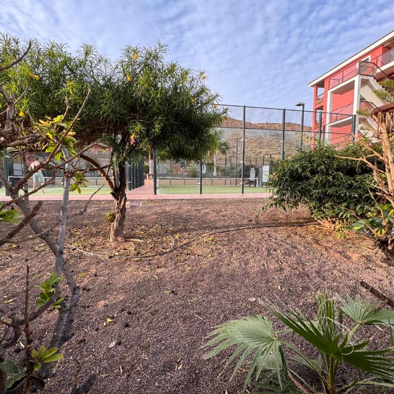 Alquilaencanarias El Palm Mar - Studio Apartment - 12