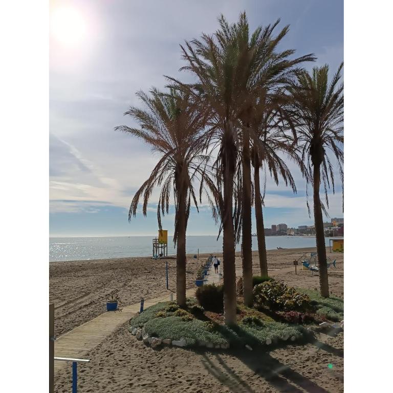 Apartment with beach and garden views - Apartment mit 2 Schlafzimmern - 38