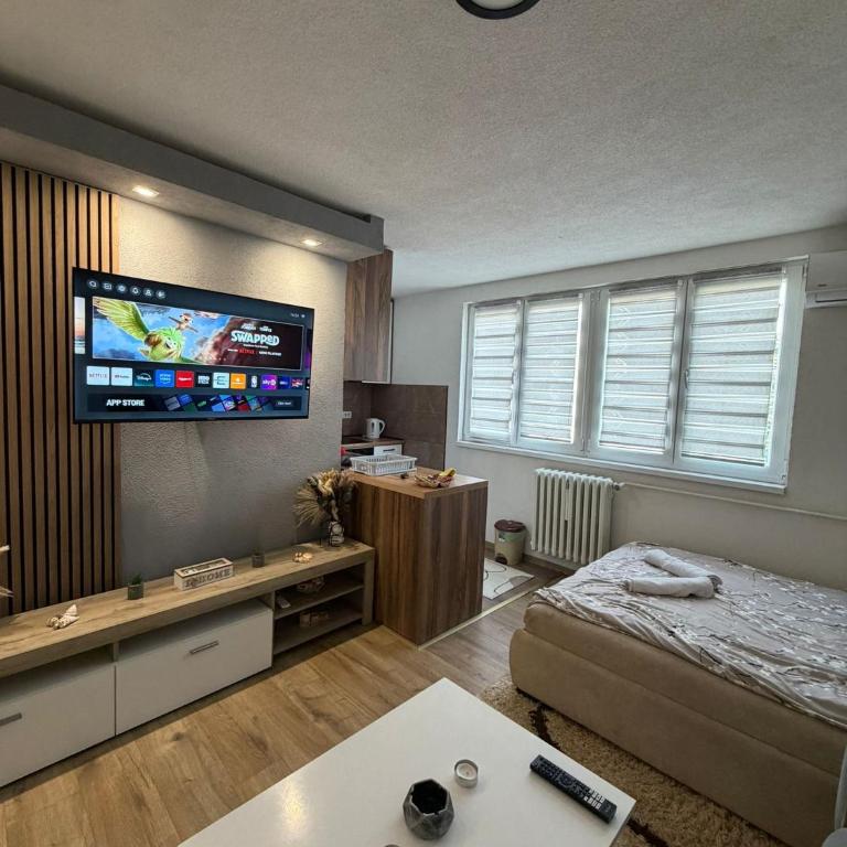 A&A Apartment - Apartman sa 1 Spavaćom Sobom - 1