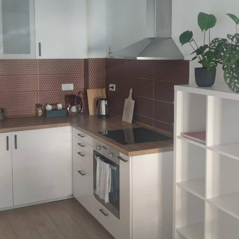 Belgrade Apartment with Large Private Terrace - Two-Bedroom Apartment - 4