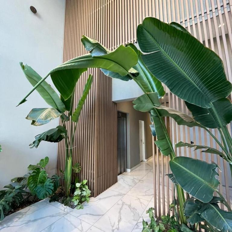 Downtown apartment near Cullen Hospital - Apartamento de 2 dormitorios - 23