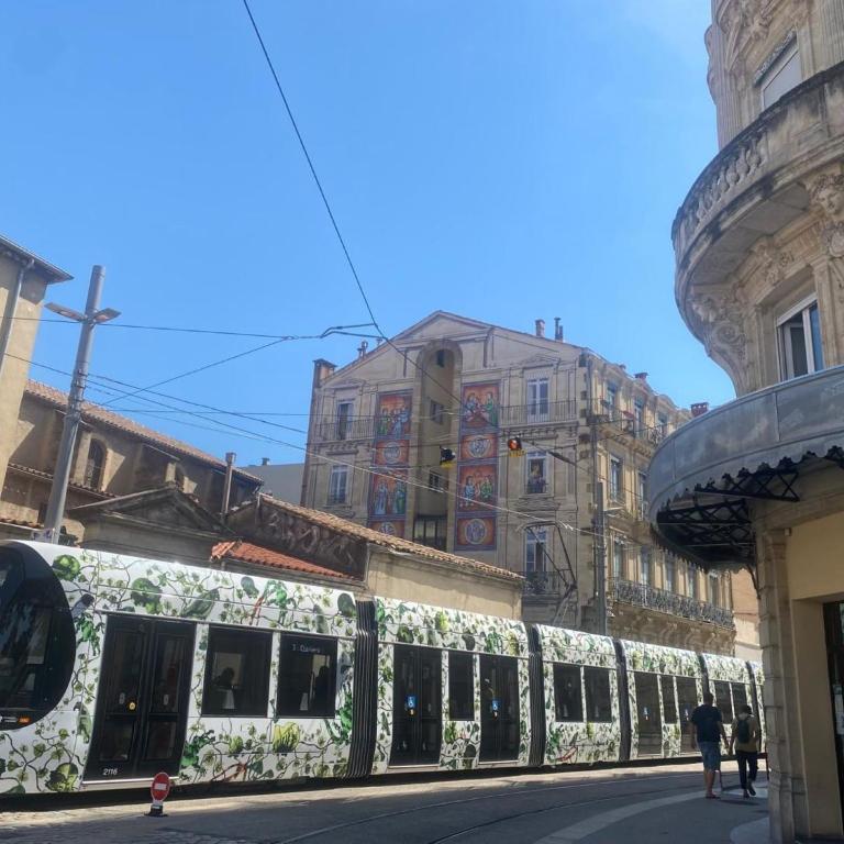 Beautiful Central Apartment in Montpellier - Apartment mit 1 Schlafzimmer - 17