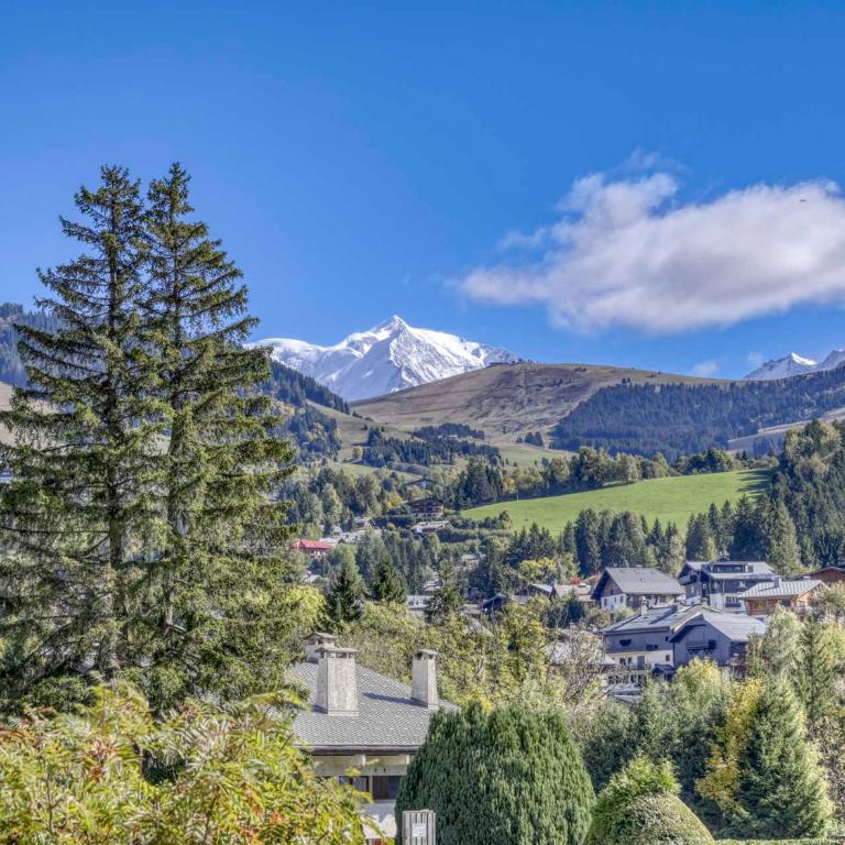 Appartement spacieux, vue Mont-Blanc - 6 pers. - FR-1-453-333 - Apartamento - 9