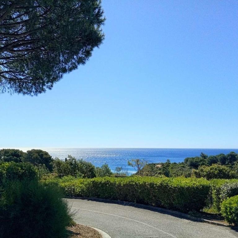 Studio cabine vue mer - 3 pers. - FR-1-226B-262 - Apartment - 11