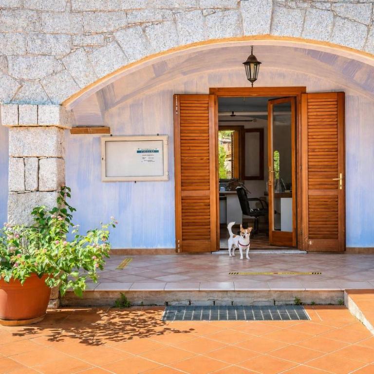 Residenze Gallura Trilo 6 - Happy Rentals - Apartment - 12