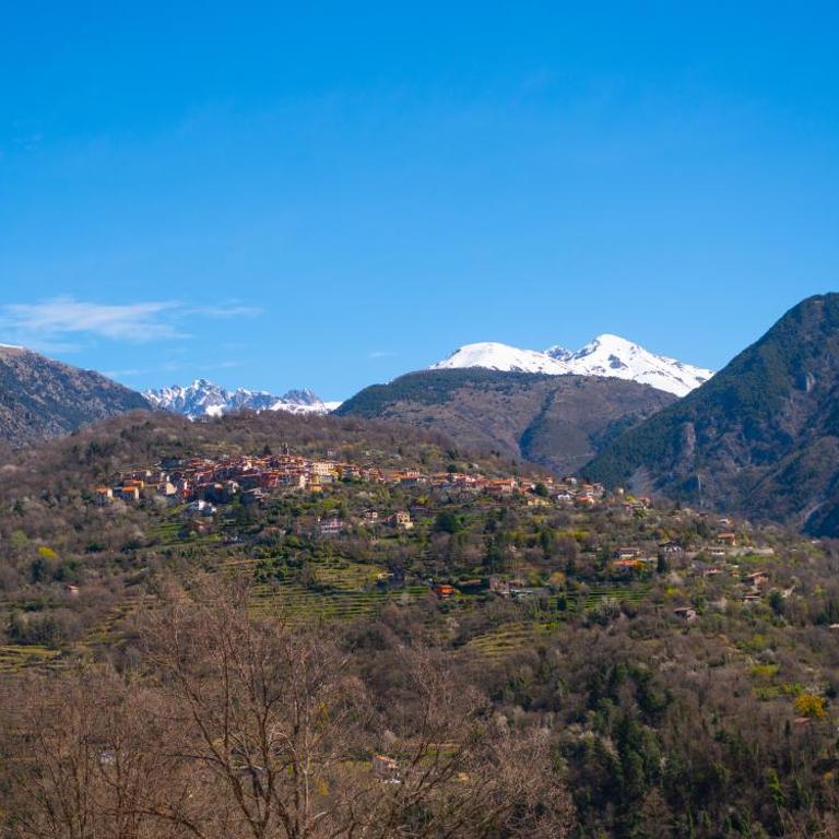 Villa les oliviers, vue montagnes avec jardin - Mercantour - Villa de 3 dormitorios - 20