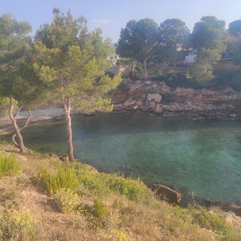 Mi morena cala llobeta 35 - Apartamento - 2