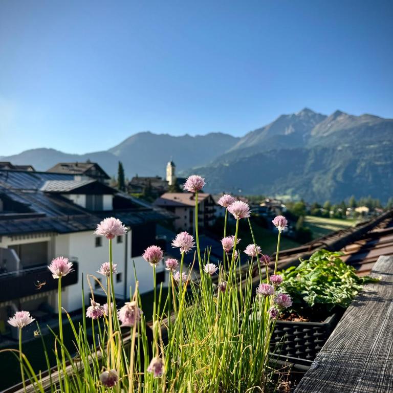 Mira Piz Signina - Wunderbare Dachwohnung mit Blick in die Berge - Apartment mit Blick auf die Berge - 3