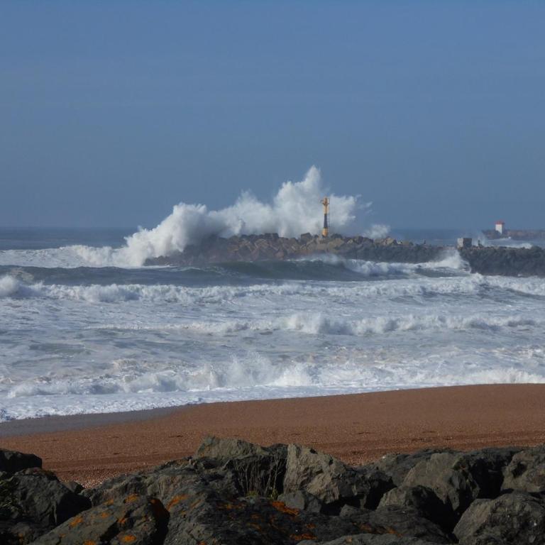 appartement anglet avec vue mer et golf - Appartement 2 Chambres - 11