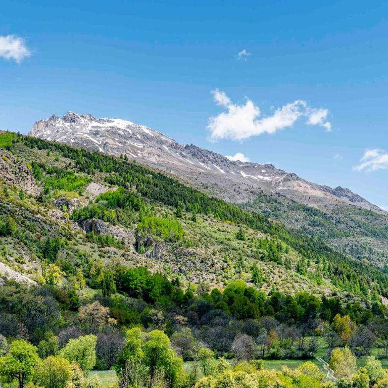 Serrechevalierholidays Terrasse&Vue 700m pistes, comme un chalet, 8 personnes - Appartement 3 Chambres - 57