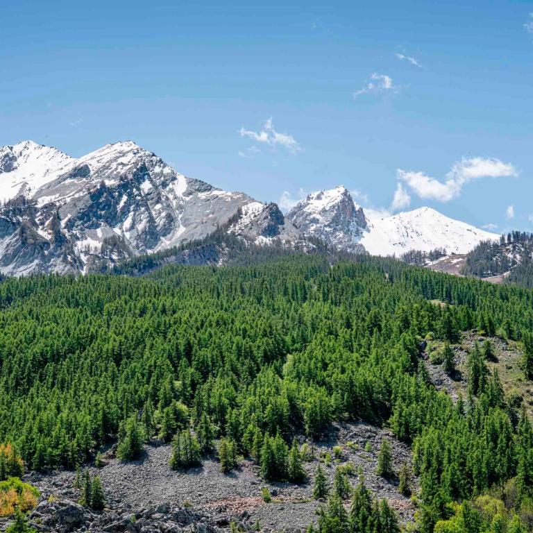 Serrechevalierholidays Terrasse&Vue 700m pistes, comme un chalet, 8 personnes - Appartement 3 Chambres - 55