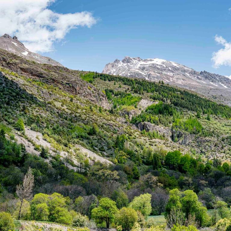 Serrechevalierholidays Terrasse&Vue 700m pistes, comme un chalet, 8 personnes - Appartement 3 Chambres - 64