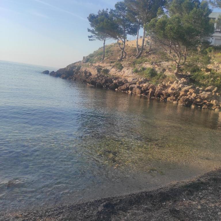 Mi morena cala llobeta 35 - Apartamento - 3