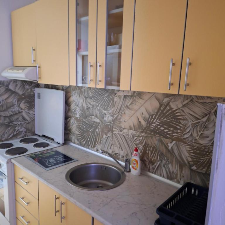Apartman Behar Otoka Sarajevo - Apartman sa 1 Spavaćom Sobom - 14