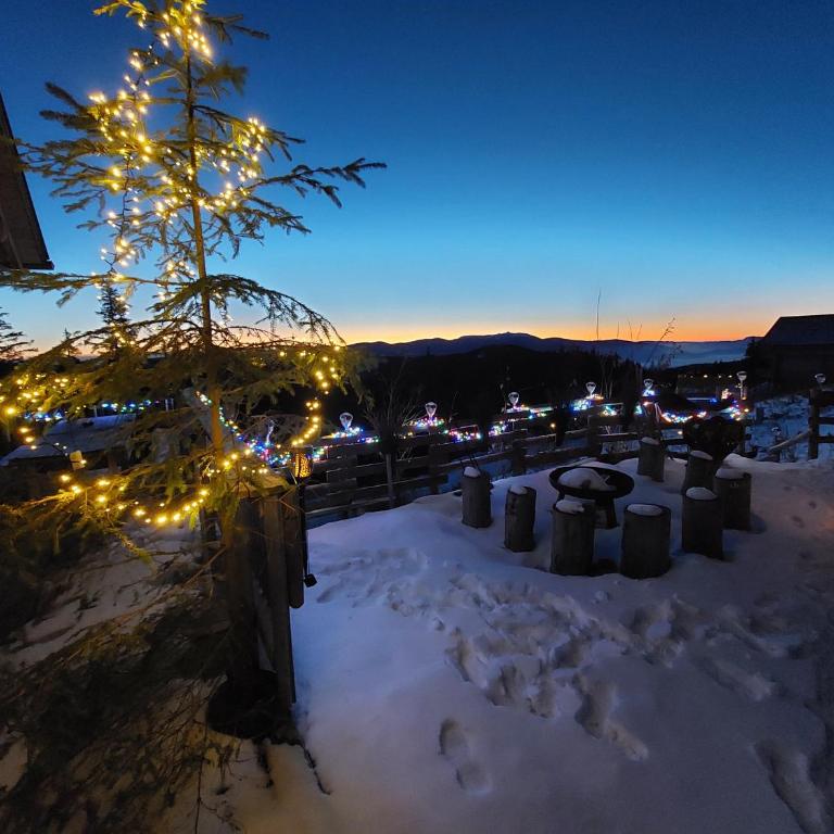 Chalet Die Berghexn - Haus mit 3 Schlafzimmern - 75