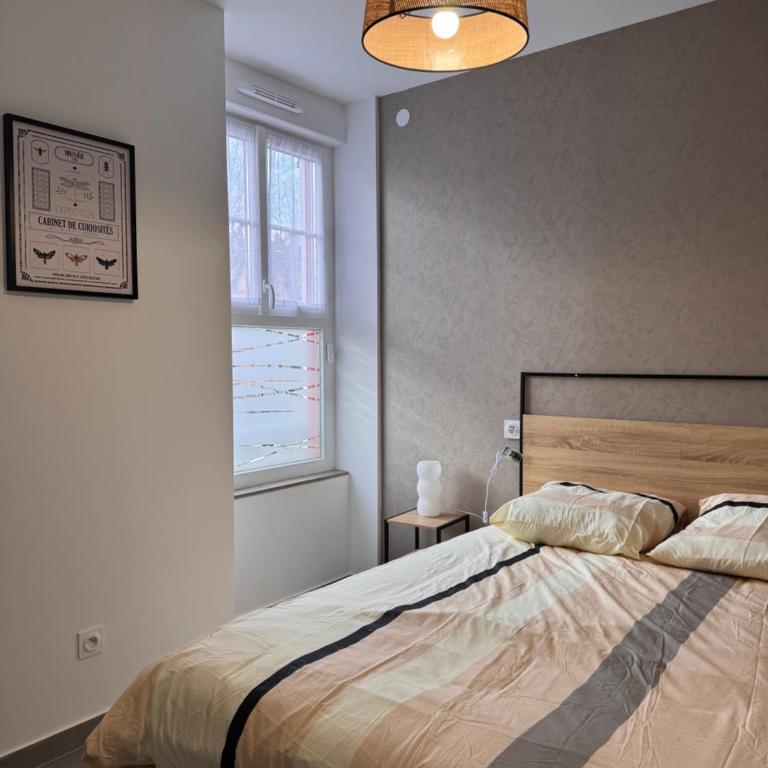 Voiron centre - De Tassigny - Appartement 1 Chambre - 6