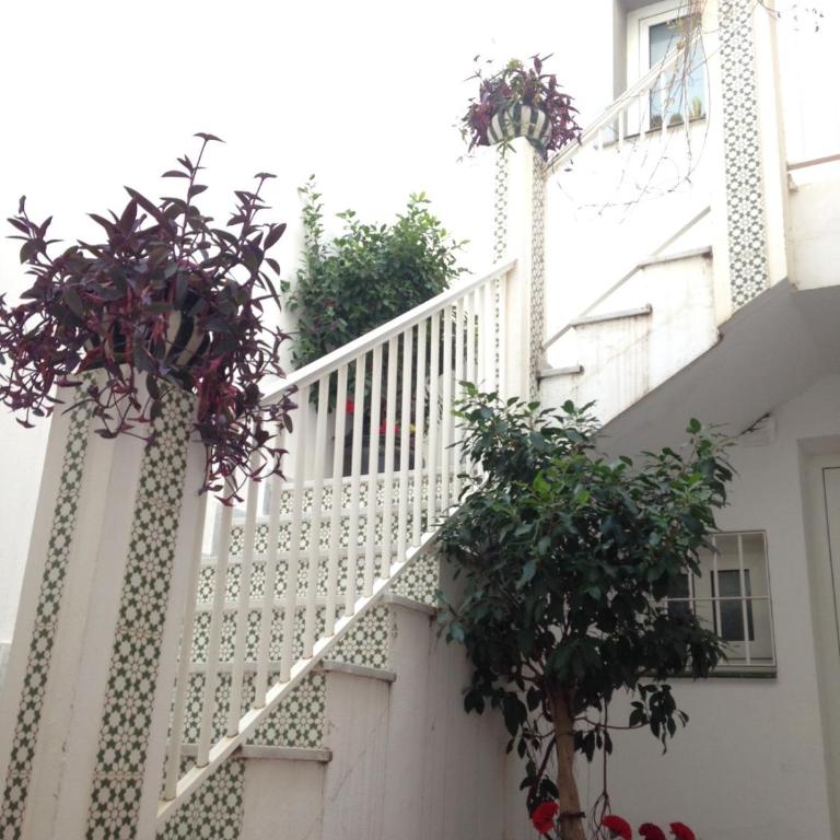 Apartamento Ana - Appartement 1 Chambre - 12