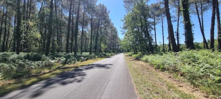 Appart 100m plage et foret Couchages 4 pers - Appartement 1 Chambre - 18