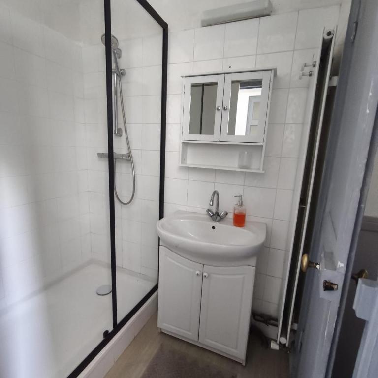 Rennes au coeur des Lices - Appartement 1 Chambre - 14
