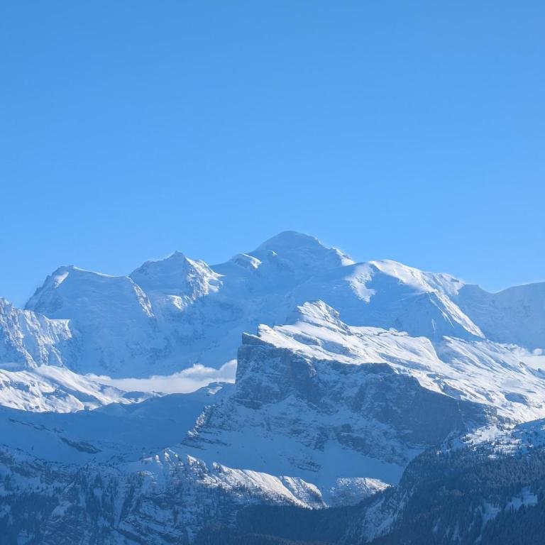Les Portes du Soleil Studio - Appartement 1 Chambre - 3