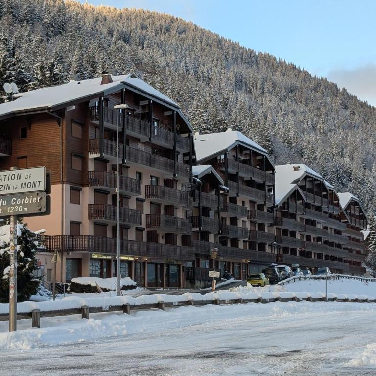 Les Portes du Soleil Studio - Appartement 1 Chambre - 7