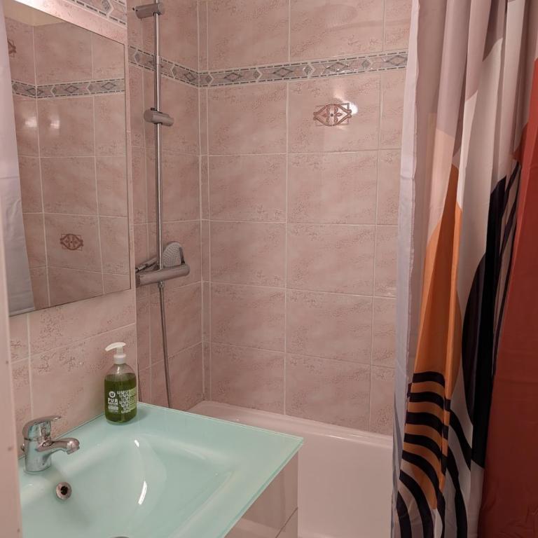 Les Portes du Soleil Studio - Appartement 1 Chambre - 8