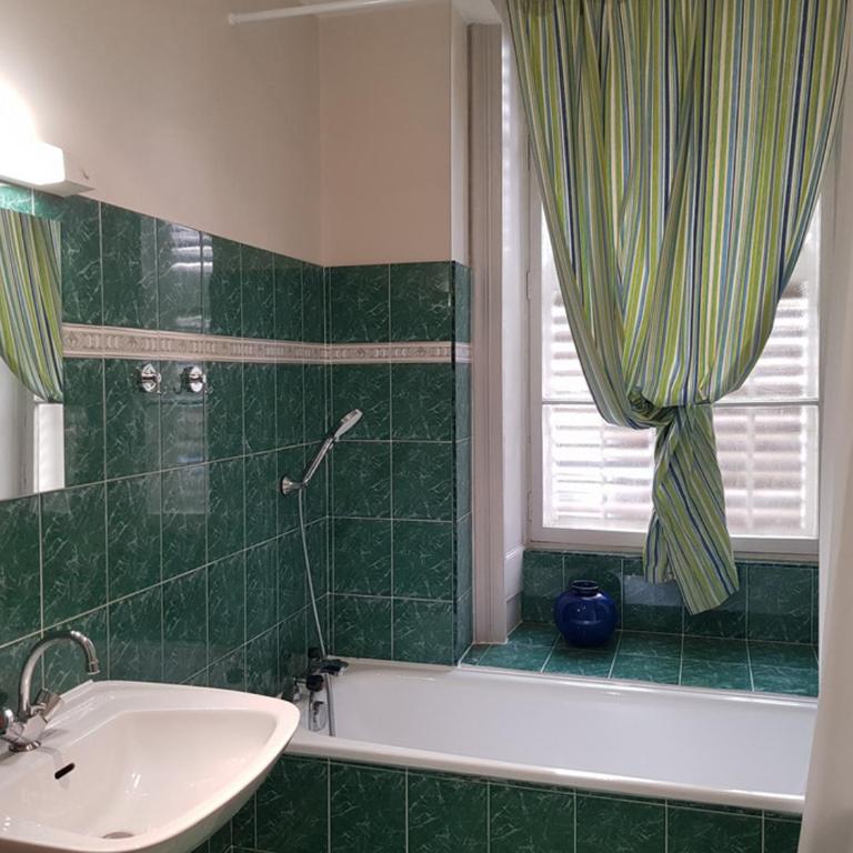 Aix-les-Bains : T2 calme, animaux admis, balcon - FR-1-555-83 - Apartment - 10