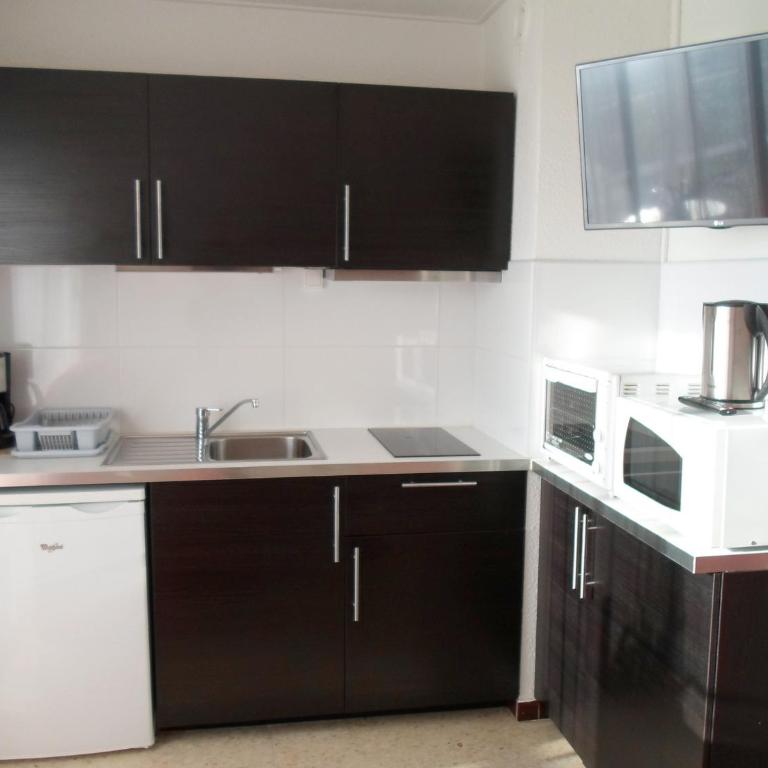 Appartement 2 étoiles à Balaruc-les-Bains avec animaux admis et climatisation - FR-1-503-28 - Studio - 9