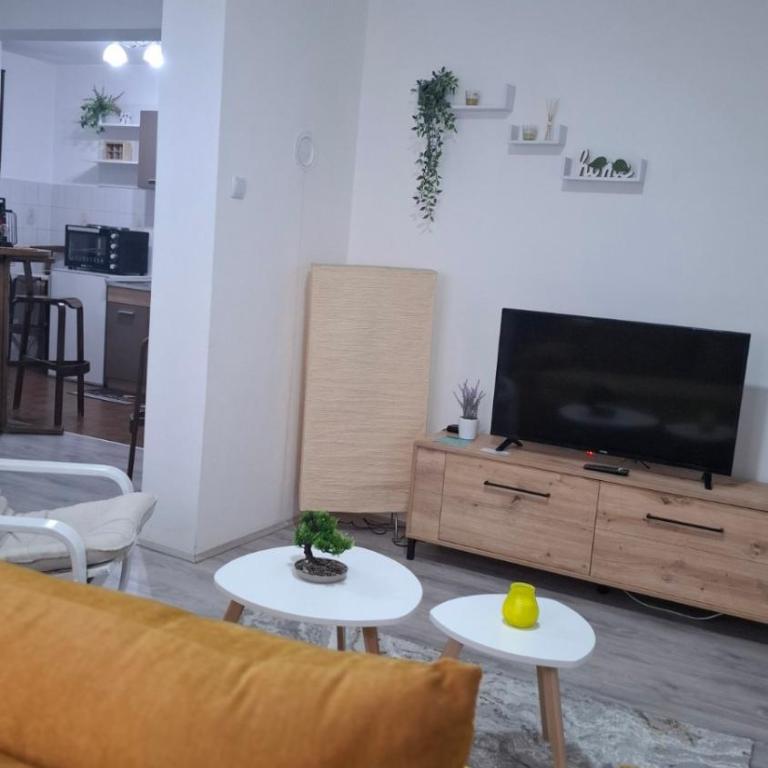 SAMI APARTMAN - Apartman sa 1 Spavaćom Sobom - 5