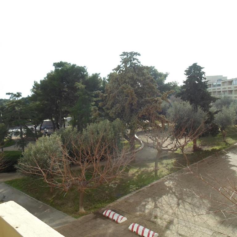 Appartement confortable proche des Thermes, animaux admis - FR-1-503-3 - Appartement (4 Adultes) - 13