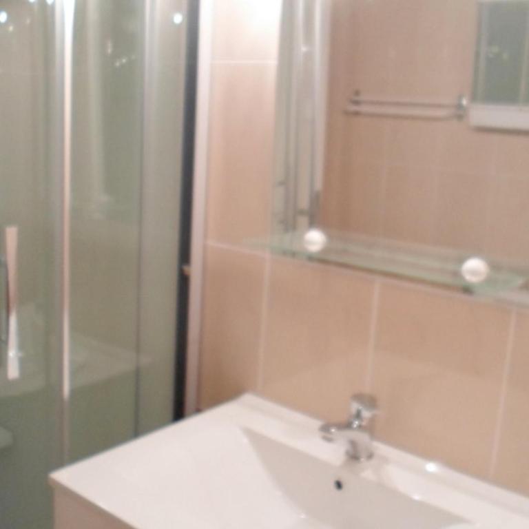 Appartement cosy proche des thermes, animaux admis - FR-1-503-61 - Studio - 8