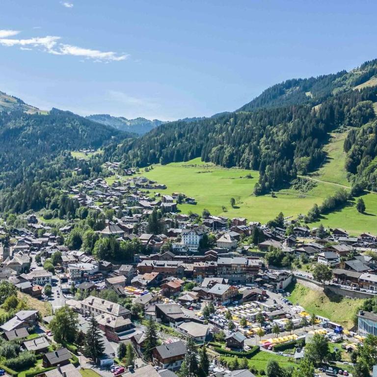 Appartement 3 pièces rénové à Morzine, proche centre, WiFi inclus - FR-1-754-68 - Apartamento - 17