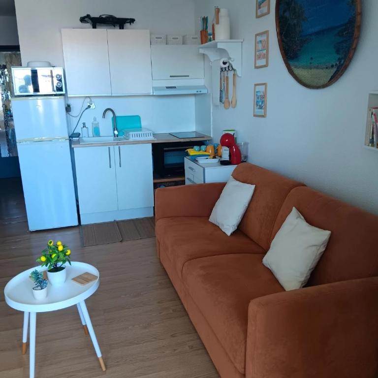 Appartement dans résidence piscine chauffée - Apartment mit 1 Schlafzimmer - 6