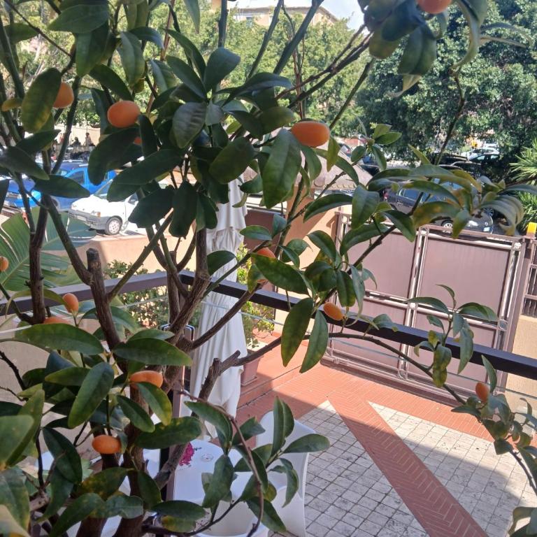 I Segreti della Valle - Deluxe Double Room with Balcony - 40