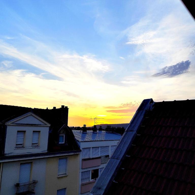 Large cozy and family-friendly studio - Apartment mit 1 Schlafzimmer - 3
