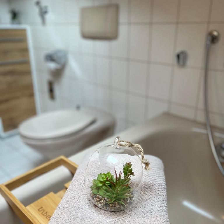 Haus Sonnenwinkel 2-Raum-Wohnung Großer Ochsenkopf - Appartamento con Balcone - 10